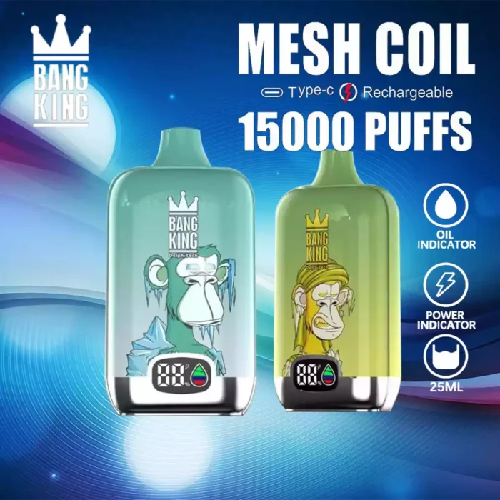 BANG KING 15000 Puffs 25ml E-Liquid and 650mAh Battery Disposable Vape
