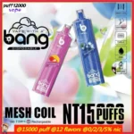 BANG TN 15000 XXL Puffs Disposable Vape mit überragendem Geschmack und individuellen Nikotinstärken