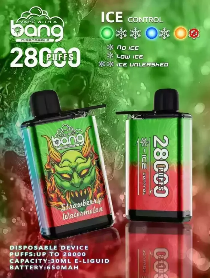 Bang 28000 Puffs Disposable Vape 650mAh Rechargeable Battery and 12+ Delicious Flavors