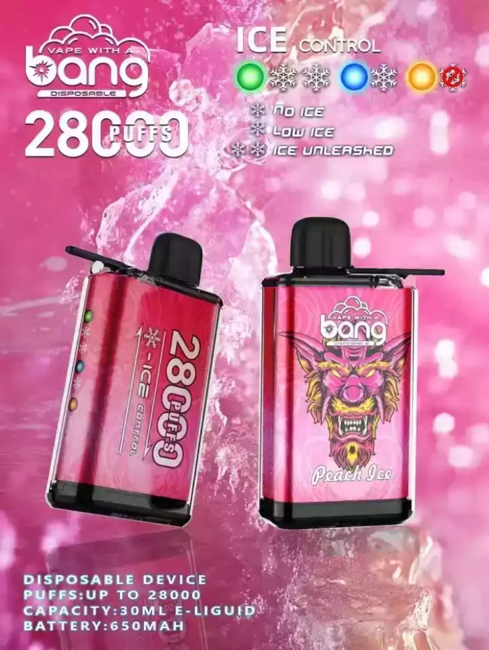 Bang 28000 Puffs Disposable Vape 650mAh Rechargeable Battery and 12+ Delicious Flavors
