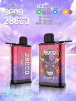 Bang 28000 Puffs Disposable Vape 650mAh Rechargeable Battery and 12+ Delicious Flavors