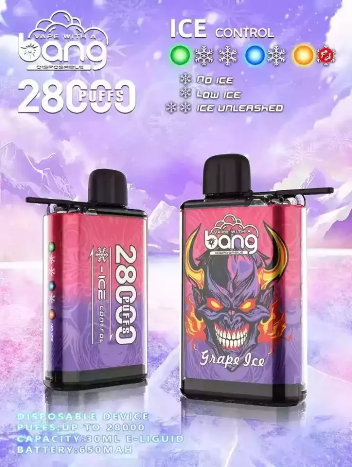 Bang 28000 Puffs Disposable Vape 650mAh Rechargeable Battery and 12+ Delicious Flavors