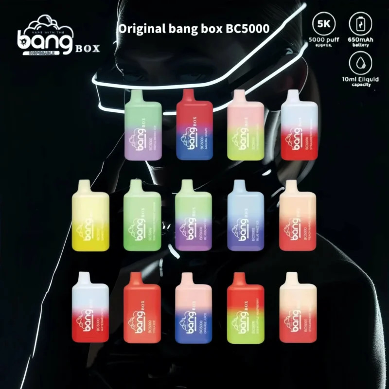 Bang BC 5000 Puffs 650mAh Battery and 13ml E-Liquid Disposable vapes
