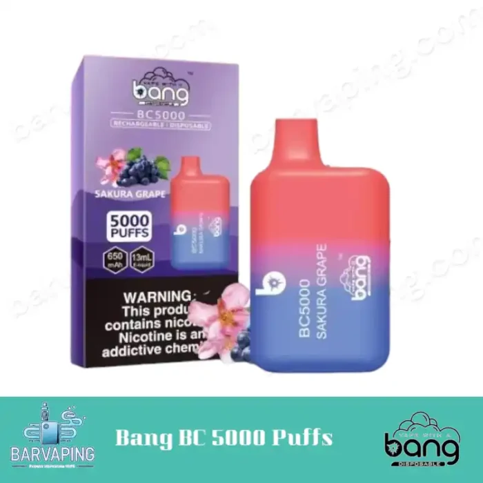 Bang BC 5000 Puffs