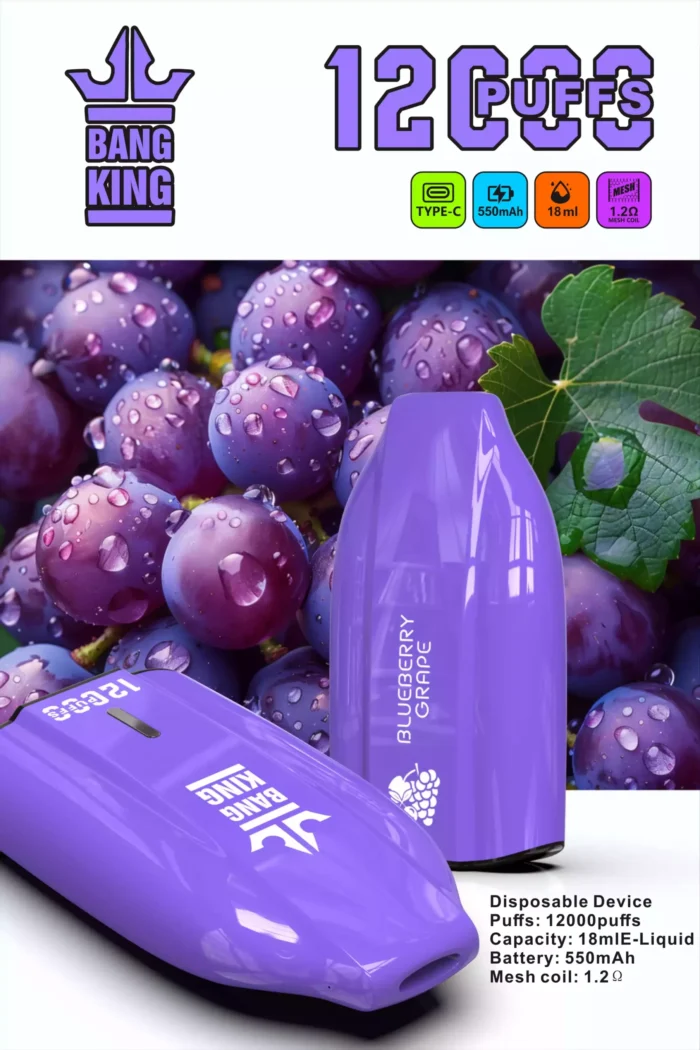 Bang King 12000 Puffs Disposable Vape 12ml E-Liquid and Long Battery Life for Extended Vaping