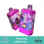 Bang King 20000 Puffs