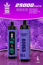Bang King 25000 Puffs Mejor Vape 1.1ohm Bobina y 28ml Capacidad - El para la satisfacción de larga duración