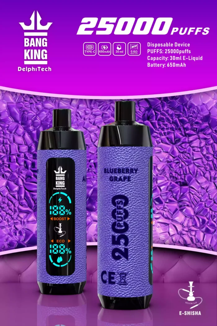 Bang King 25000 Puffs Mejor Vape 1.1ohm Bobina y 28ml Capacidad - El para la satisfacción de larga duración