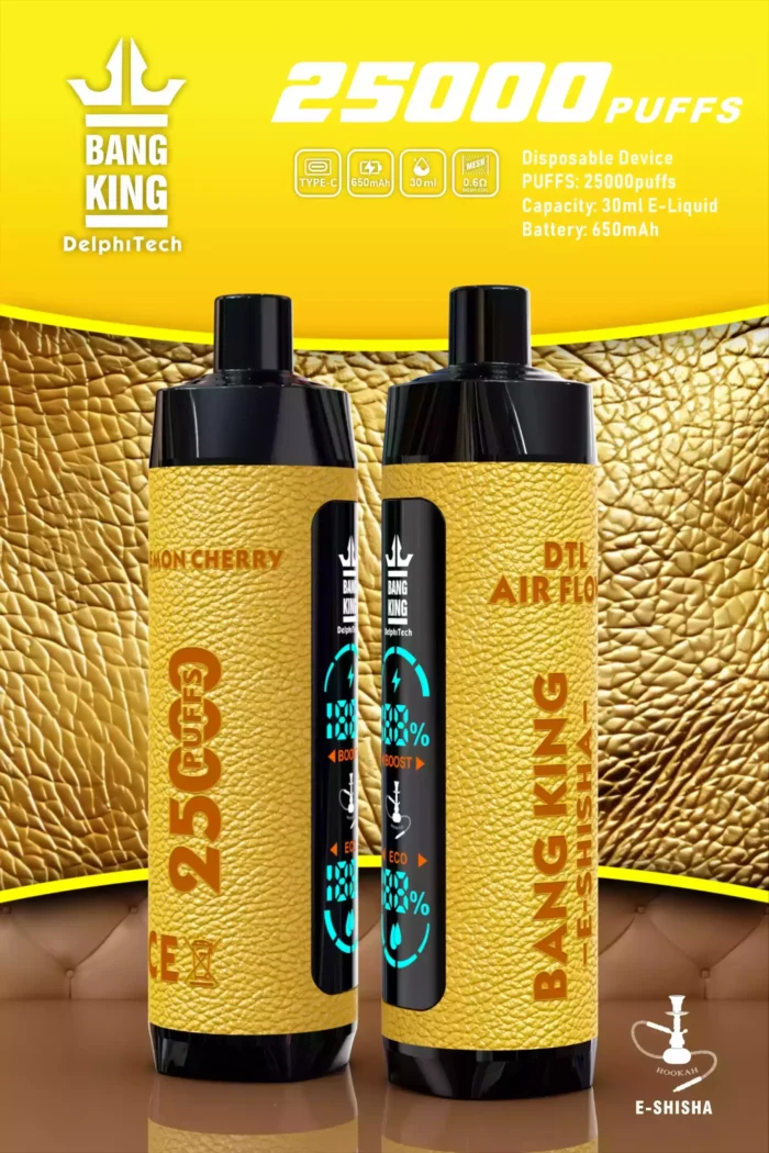 Bang King 25000 Puffs Mejor Vape 1.1ohm Bobina y 28ml Capacidad - El para la satisfacción de larga duración
