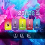 Bang King 25000 Puffs Wegwerp Vape 4ml E-Liquid en Oplaadbaar