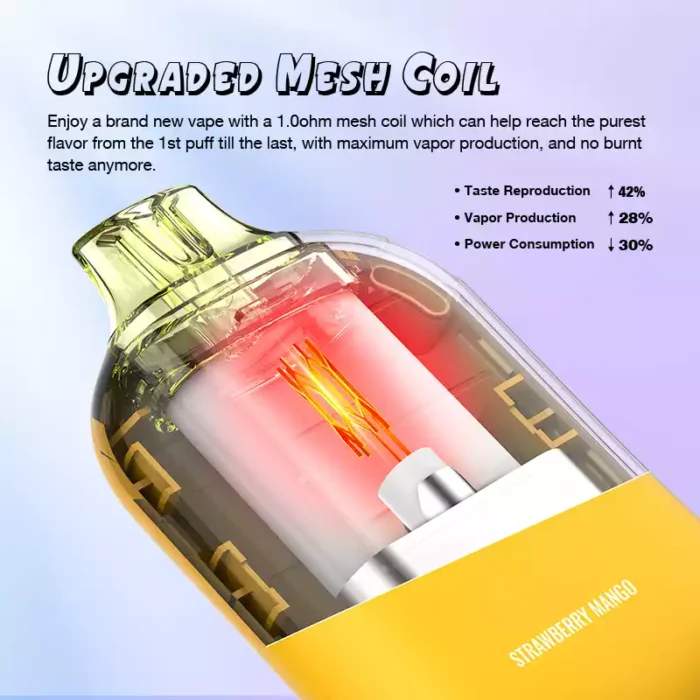 Grativape Boom 9000 Puffs Disposable Vape Pen with 14ml E-Liquid and 10 Delicious Flavors