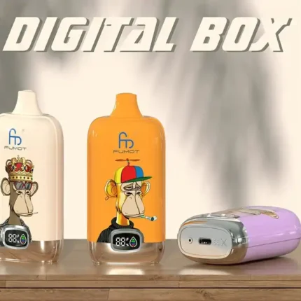 RandM Digital Box 12000 Puffs A Premium Disposable Vape with Mesh Coil & Rechargeable Battery