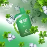 VASY Mini 600 Puffs Long Lasting Disposable Vape with 20mg Nicotine Strength