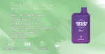 VASY Mini 600 Puffs Long Lasting Disposable Vape with 20mg Nicotine Strength