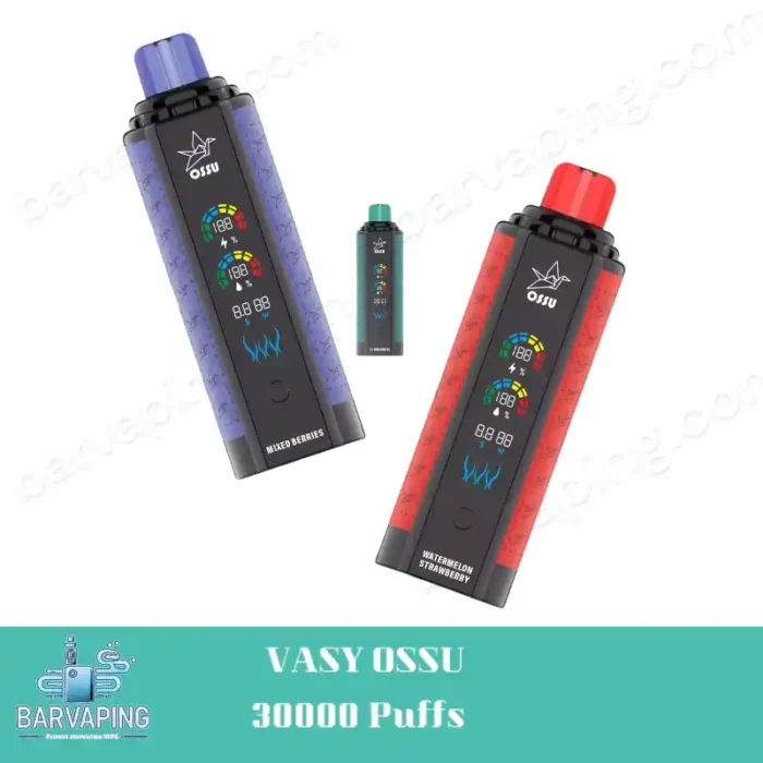 VASY OSSU 30000 Puffs