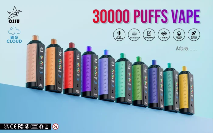 VASY OSSU 30000 Puffs The Best Disposable Vape with 5% to 0% Nicotine Strength and 0.5Ω Dual Mesh Coil