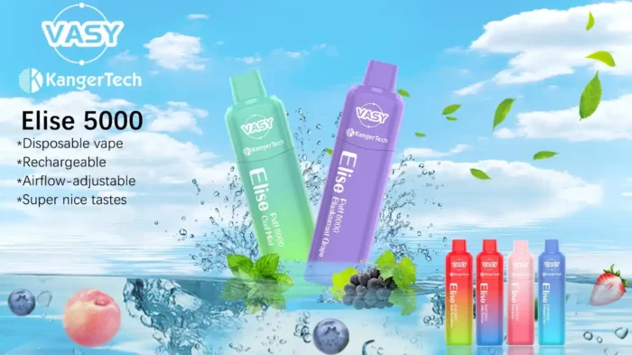 VASY Vasy Elise 5000 Puffs The Best Disposable Vape with Adjustable Airflow and 5% Nicotine Strength