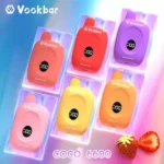 VASY Vookbar COCO 6600 Puffs Experience Premium Disposable Vapes with 12ml Juice and 500mAh Battery