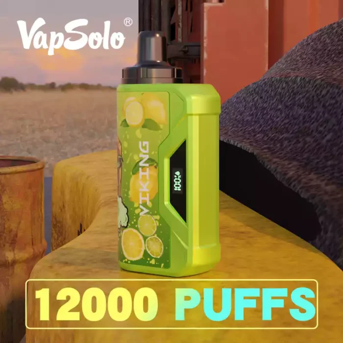 Vapsolo Viking 12000 Puffs A Disposable Vape with LCD Display 22 ML E Liquid and Mesh Coil