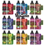 Vapsolo Viking 12000 Puffs A Disposable Vape with LCD Display 22 ML E Liquid and Mesh Coil