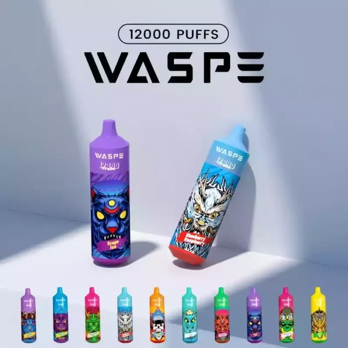 WASPE 12000 Puffs Enjoy 12000 Puffs with 20ml E Liquid and Rechargeable Type C Port