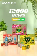 WASPE 12000 Puffs Enjoy 12000 Puffs with 20ml E Liquid and Rechargeable Type C Port