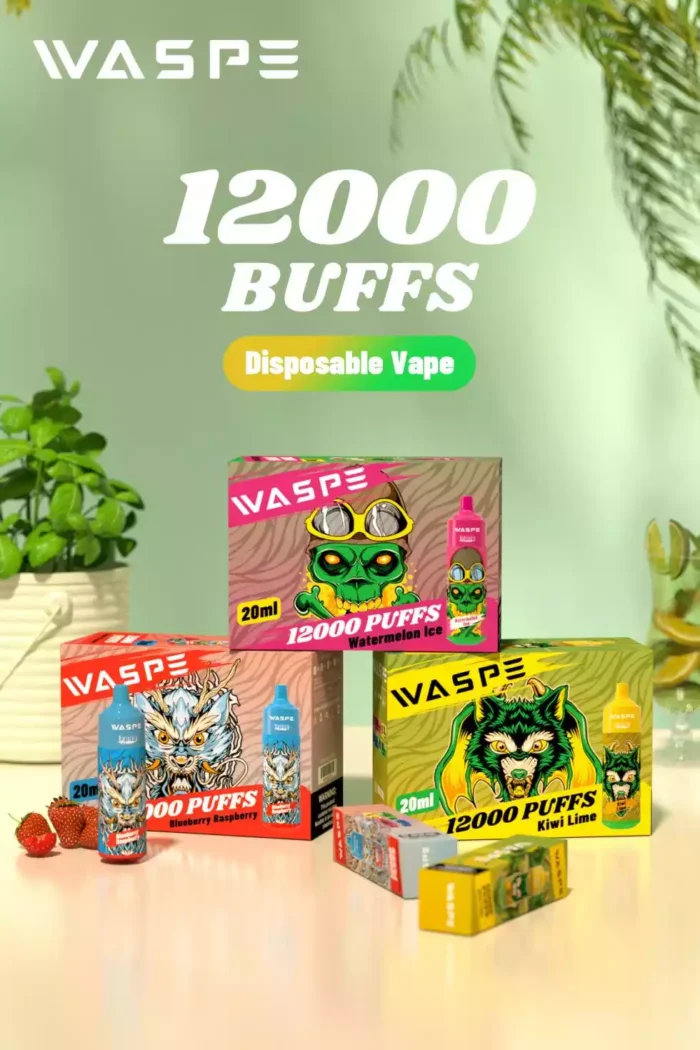 WASPE 12000 Puffs Enjoy 12000 Puffs with 20ml E Liquid and Rechargeable Type C Port