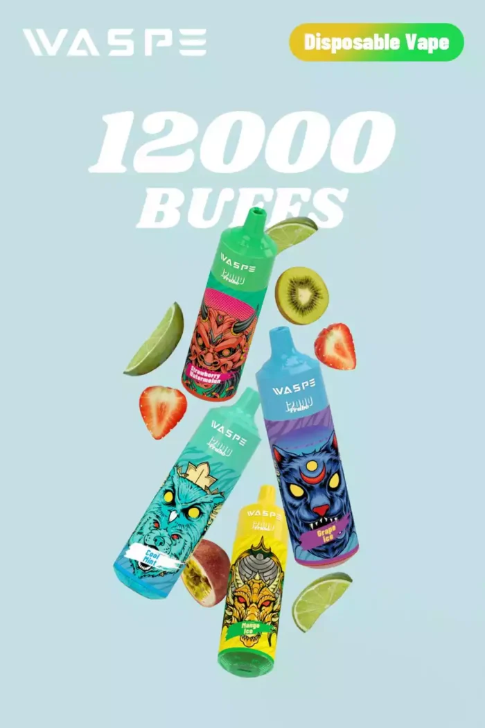 WASPE 12000 Puffs Enjoy 12000 Puffs with 20ml E Liquid and Rechargeable Type C Port