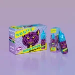 WASPE 12000 Puffs Enjoy 12000 Puffs with 20ml E Liquid and Rechargeable Type C Port