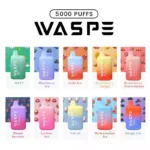 WASPE 5000 Puffs Premium Disposable Vape with 650mAh Rechargeable Battery and Mesh Coil