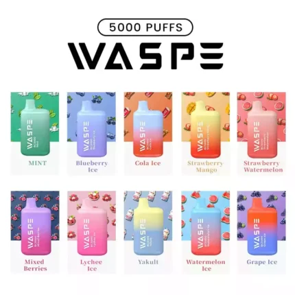 WASPE 5000 Puffs Premium Disposable Vape with 650mAh Rechargeable Battery and Mesh Coil