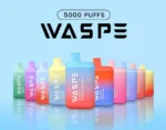 WASPE 5000 Puffs Premium Disposable Vape with 650mAh Rechargeable Battery and Mesh Coil