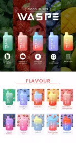WASPE 5000 Puffs Premium Disposable Vape with 650mAh Rechargeable Battery and Mesh Coil