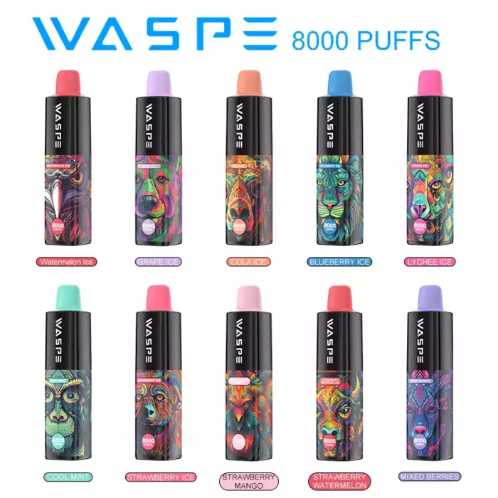 WASPE 8000 Puffs Type C Charging and 0.8Ω Mesh Coil for a Premium Disposable Vape Experience