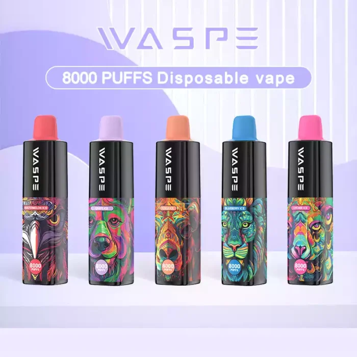 WASPE 8000 Puffs Type C Charging and 0.8Ω Mesh Coil for a Premium Disposable Vape Experience