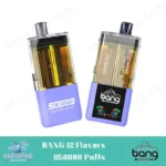 BANG 12 Sabores B50000 Puffs