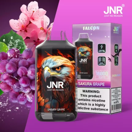 JNR Falcon 16000 Puffs Well-received Disposable Vape 850mAh Rechargeable Battery, and 20 Flavors