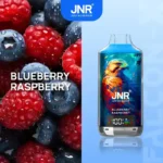 JNR Falcon-X 18000 Puffs Well-received Disposable Vape Rechargeable 950mAh Battery and 24ml Capacity