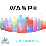 WASPE 5000 Puffs Premium Disposable Vape with 650mAh Rechargeable Battery and Mesh Coil (2)