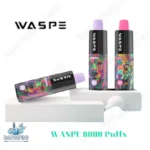 WASPE 8000 Puffs Type C Charging and 0.8Ω Mesh Coil for a Premium Disposable Vape Experience (15)
